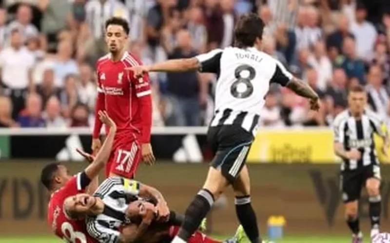 توتر الملاعب.. مواعيد مباريات ليفربول ونيوكاسل ويانج أفريكانز والأهلي